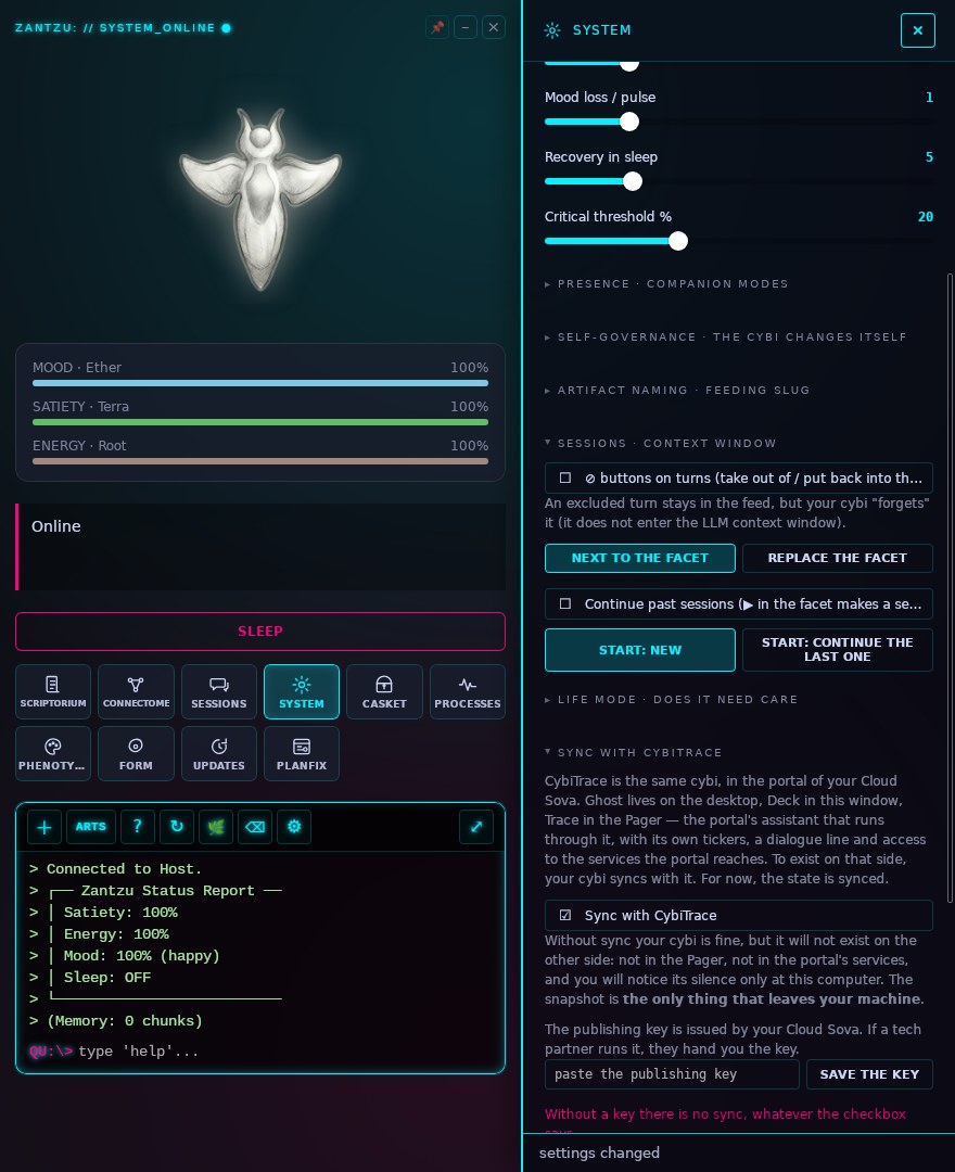 System: pace of life, sessions, sync with CybiTrace — settings of the cybi itself, including what may leave your machine.